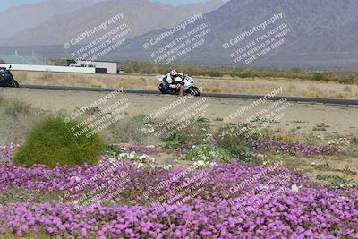 media/Feb-04-2023-SoCal Trackdays (Sat) [[8a776bf2c3]]/Turn 15 Inside Blooming (1050am)/